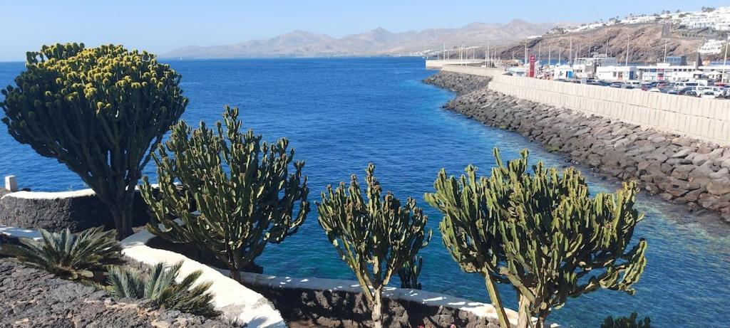 Oceanview Apartment Puerto del Carmen (Lanzarote) Exterior foto